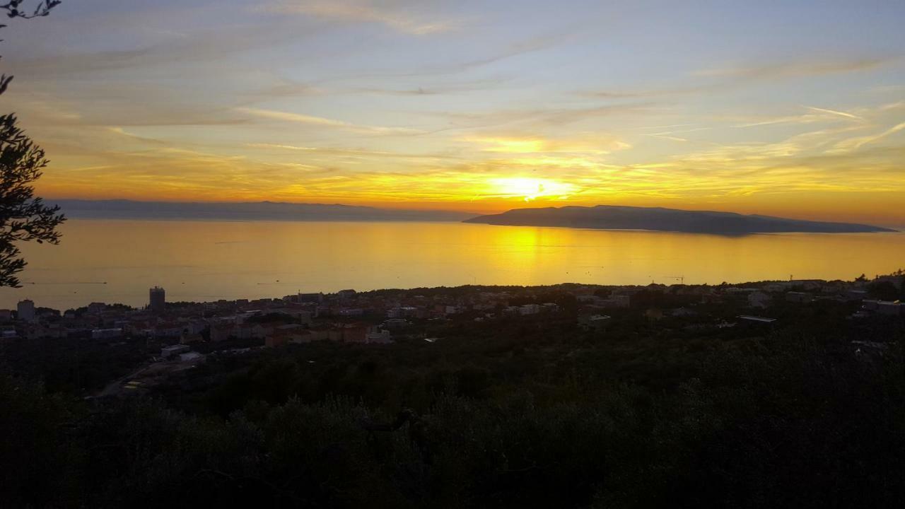 Daz * Makarska
